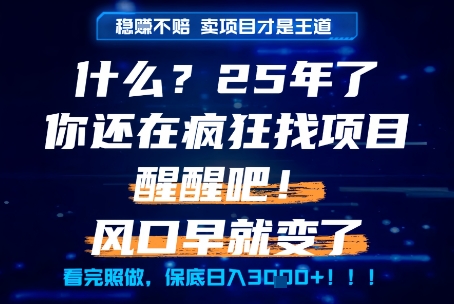 什么？25年你还在疯狂找项目做，醒醒吧，看完这些你全都懂了！【揭秘】-点格网络