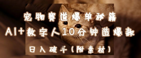 宠物赛道爆单秘籍：AI+数字人10分钟造爆款，日入1k-点格网络