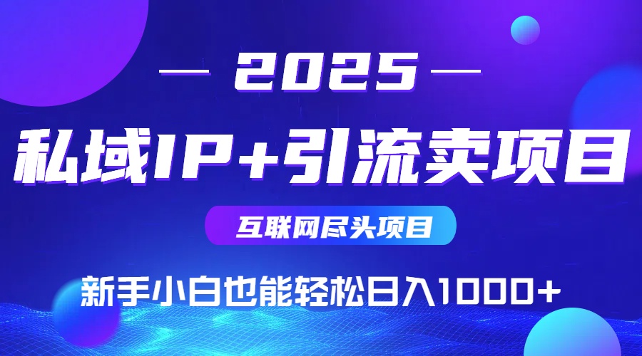 （15531期）2025网创尽头项目，私域IP+引流，新手小白也能在家日入1000+-点格网络