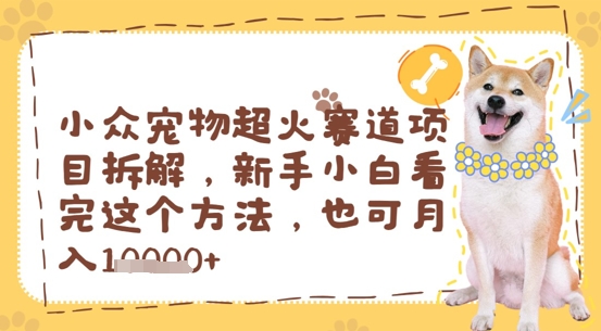 小众宠物超火赛道项目拆解，新手小白看完这个方法，也可月入过w-点格网络