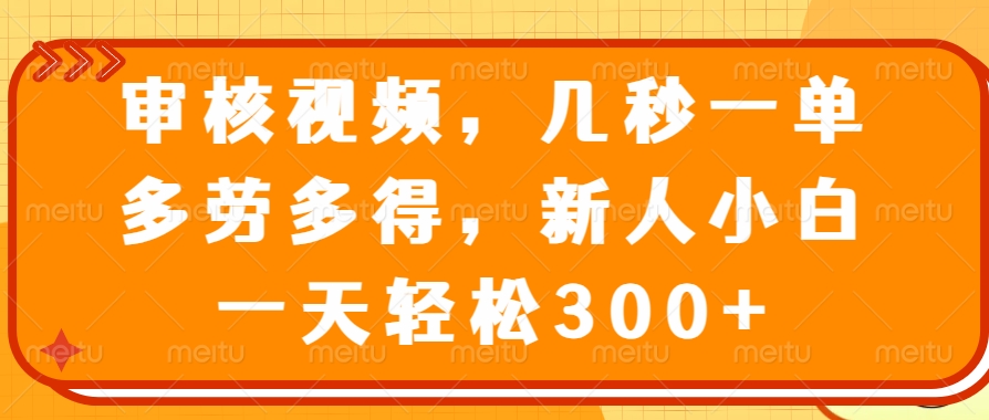 （14294期）审核视频，几秒一单，多劳多得，新人小白一天轻松300+-点格网络