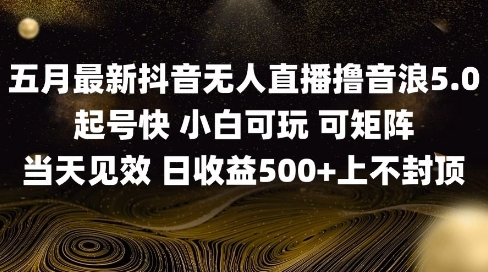 2025五月最新无人直播撸音浪单日产出5张+实操教程【揭秘】-点格网络