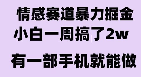 情感暴力掘金项目，新人操作一周挣了2W，长期稳定小白可做【揭秘】-点格网络