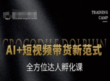 AI+短视频带货新范式，全方位达人孵化课-点格网络