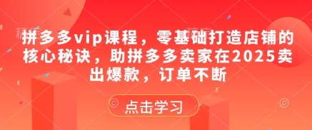 拼多多vip课程，零基础打造店铺的核心秘诀，助拼多多卖家在2025卖出爆款，订单不断-点格网络
