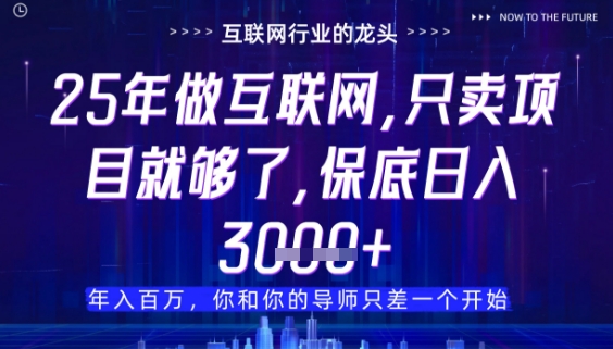 什么！25年你还在找项目做？风口早就变了，卖项目才是稳挣不赔【揭秘】-点格网络