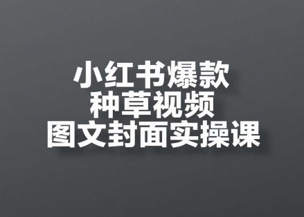 小红书爆款种草视频图文封面实操课，​开店、选品、引流、变现全流程-点格网络