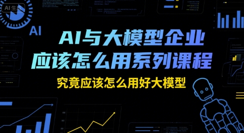 AI与大模型企业应该怎么用系列课程，究竟应该怎么用好大模型-点格网络