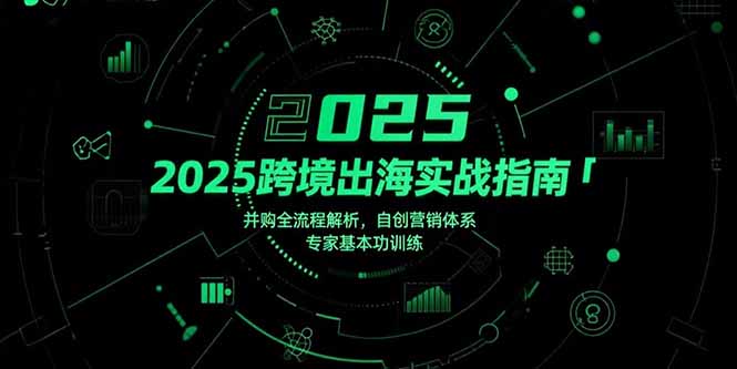 （15503期）2025跨境出海实战指南，并购全流程解析，自创营销体系，专家基本功训练-点格网络