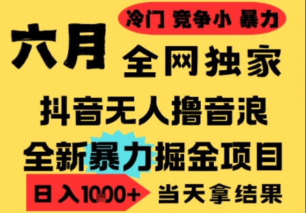 25年6月高爆抖音无人直播最新撸音浪掘金项目，小白可做，无脑日入1k+，门槛低可批量矩阵【揭秘】-点格网络