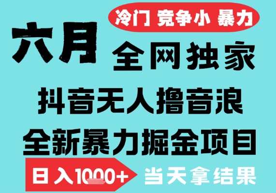 2025年6月高爆抖音无人直播最新撸音浪掘金项目，无脑日入1k+，低门槛小白可做，可矩阵放大【揭秘】-点格网络