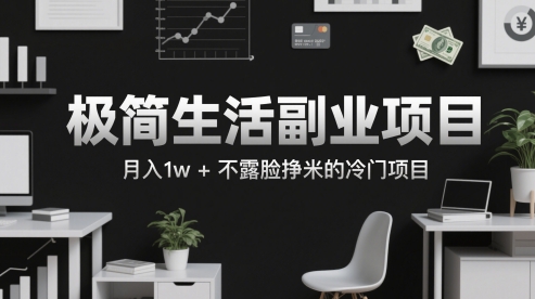 极简生活副业项目，月入1w+不露脸挣米的冷门项目-点格网络