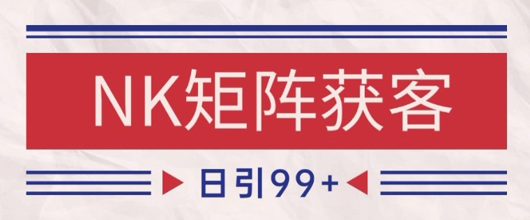 小红书某音NK赛道引流获客 自热矩阵日引200+【揭秘】-点格网络