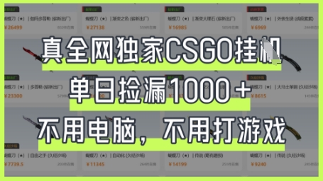 真全网独家CSGO挂G，单日捡漏1k+【揭秘】-点格网络