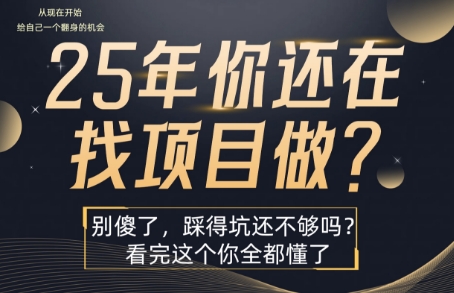 25年，你还在疯狂的找项目吗？别傻了，看完这个你都懂了【揭秘】-点格网络