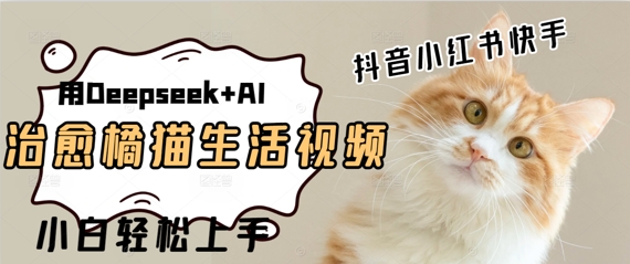 疯狂火爆，用Deepseek+AI做治愈橘猫系列视频，小白轻松制作+快速拿到结果-点格网络