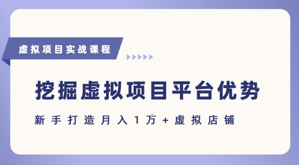 抓住虚拟项目各平台优势，新手轻松月入1W+(给出具体建议)-点格网络