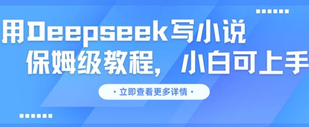 用Deepseek写小说，保姆级教程，小白可实操-点格网络