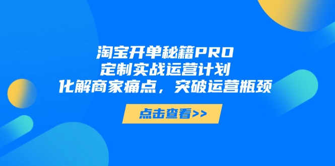 （14642期）淘宝开单秘籍PRO，定制实战运营计划，化解商家痛点，突破运营瓶颈-点格网络