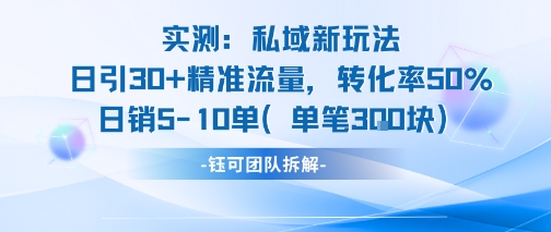 实测私域新玩法日引30加精准流量转化率50%日销5-10单每笔3张-点格网络