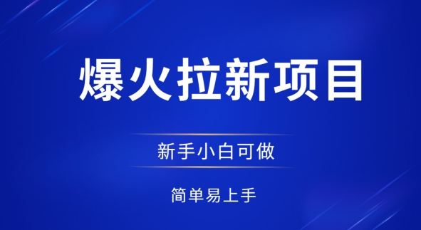 爆火拉新项目，有手就行，小白轻松入门，日入1张拉新整套流程-点格网络