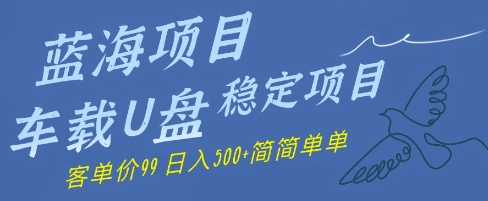 蓝海项目车载U盘稳定项目，挣的就是信息差，客单价99，日入几张简简单单-点格网络