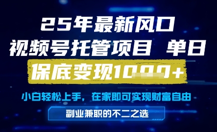 25年最新风口，视频号托管项目，单日保底变现1k+，手把手教学【揭秘】-点格网络