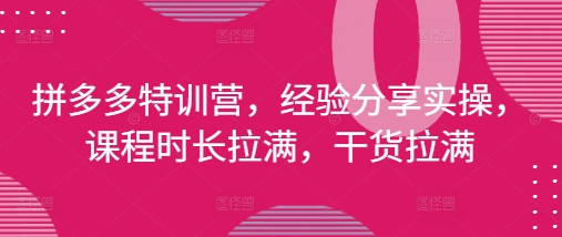 拼多多特训营，经验分享实操，课程时长拉满，干货拉满(更新25年4月)-点格网络
