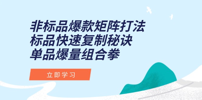 （15068期）非标品爆款矩阵打法，标品快速复制秘诀，单品爆量组合拳-点格网络