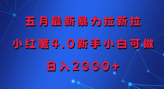 五月最新暴力拉新拉，小红薯4.0新手小白可做，日入多张-点格网络