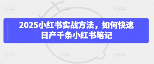 2025小红书实战方法，如何快速日产千条小红书笔记-点格网络