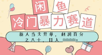 闲鱼冷门暴力赛道，新人当天开单，门槛低，日入多张-点格网络
