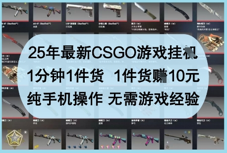 25年最新CSGO游戏挂G，1分钟1件货，1件货挣10元，纯手机操作，无需游戏经验【揭秘】-点格网络