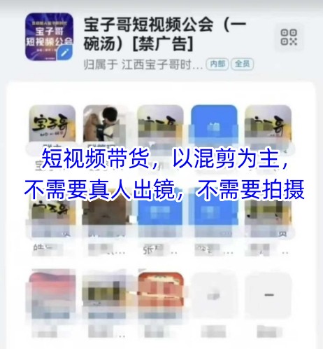 宝子哥头部团队短视频带货，以混剪为主，不需要真人出镜，不需要拍摄-点格网络