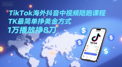 TikTok海外抖音中视频陪跑课程，TK最简单挣美金方式，1万播放挣8刀-点格网络